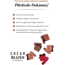 Pastel Cream Blush Blendable 45 Sunlit - 4